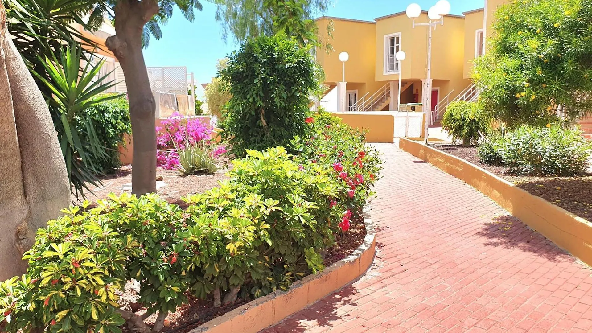 Apartment Orlando Sea Costa Adeje  0*, Costa Adeje (Tenerife) Spain