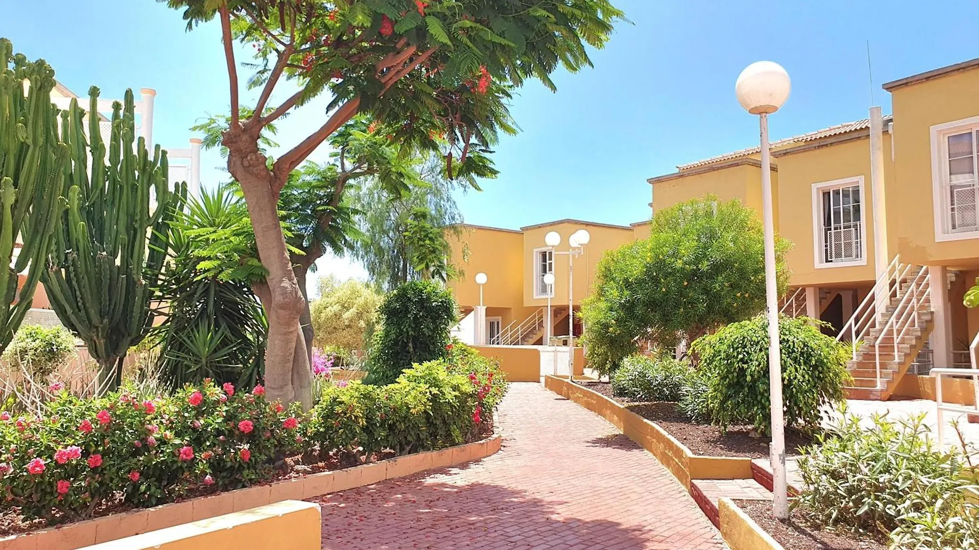 Apartment Orlando Sea Costa Adeje  Spain